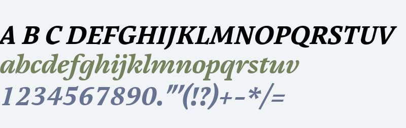 Cardamon W01 Bold Italic