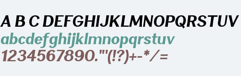 Clasica Sans W00 Black Italic