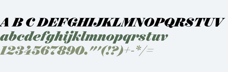 Surveyor Display Black Italic