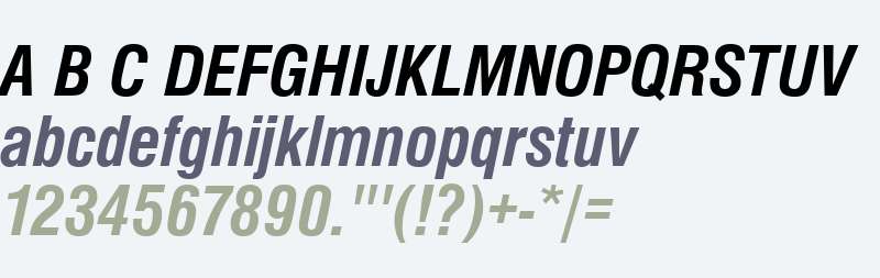 NimbusSanDCon Bold Italic