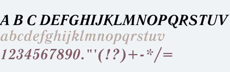 Literaturnaya Web Bold Italic