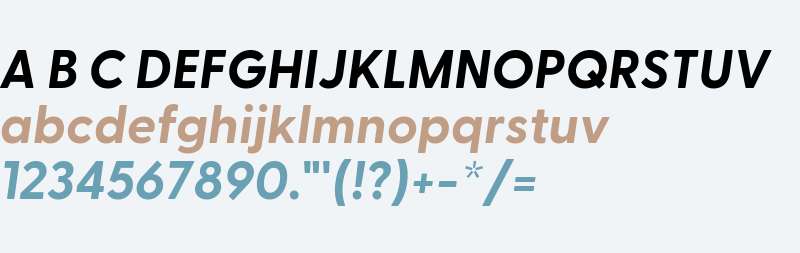 Greycliff CF Bold Oblique