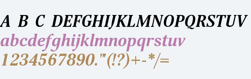 Margon 360 Bold Italic W08 Rg