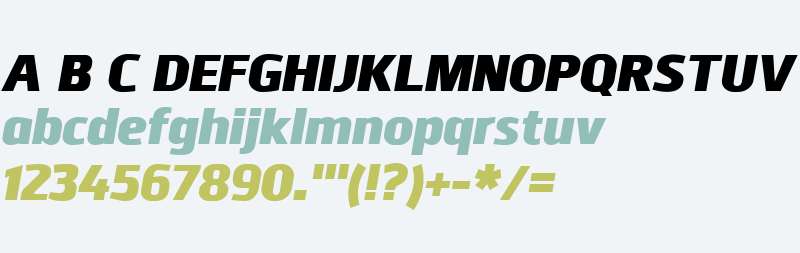 Juhl W00 Heavy Italic