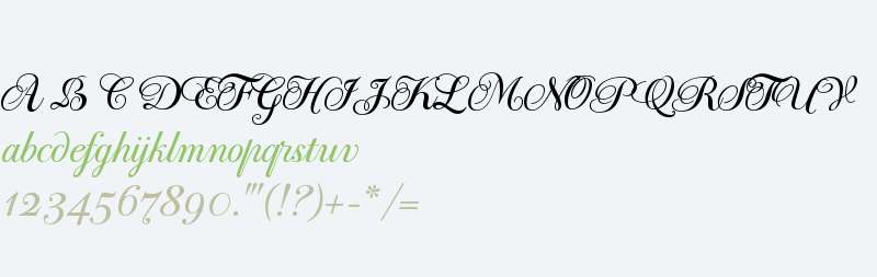 PF Bodoni Script W01 Regular