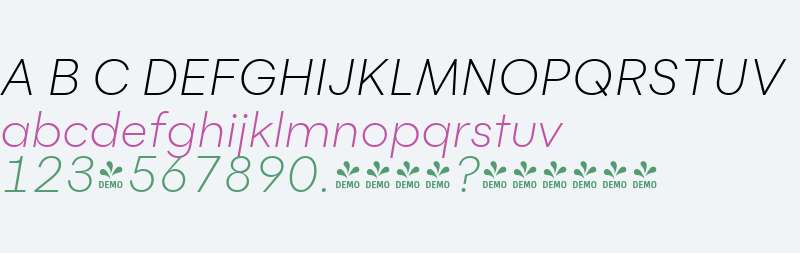 FSP DEMO - Flink Light Italic