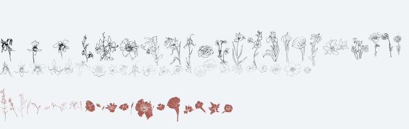 Flower Sketch W95 Regular