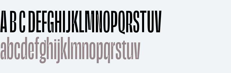 Magnet TRIAL Head Upright