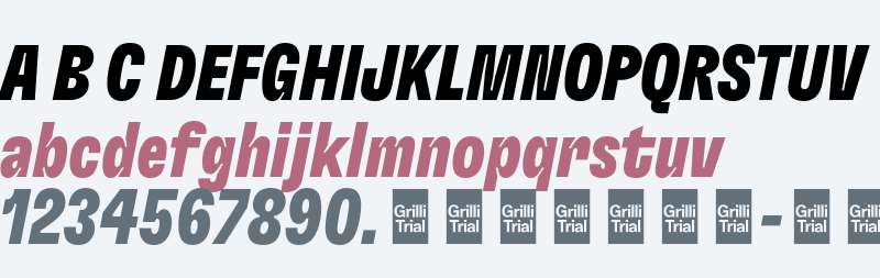 GT Flexa Trial Cm Bl It