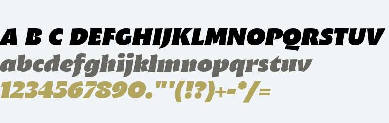 Malik Heavy Display Italic