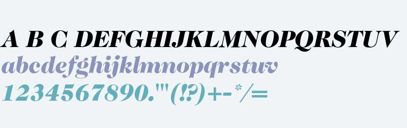 Caslon 224* Black Italic