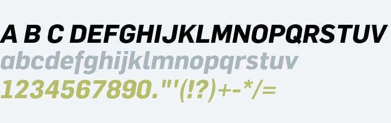 Flama Bold Italic