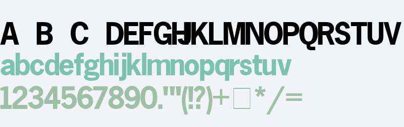 Macro Black SSi Bold