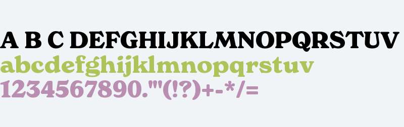 New Spirit TRIAL Bold