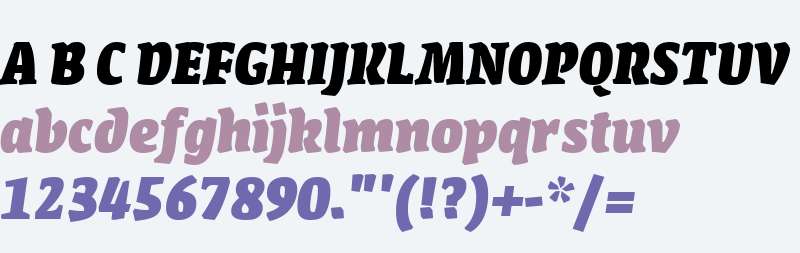 AmmanSerifWeb-XboldIta W03 Rg