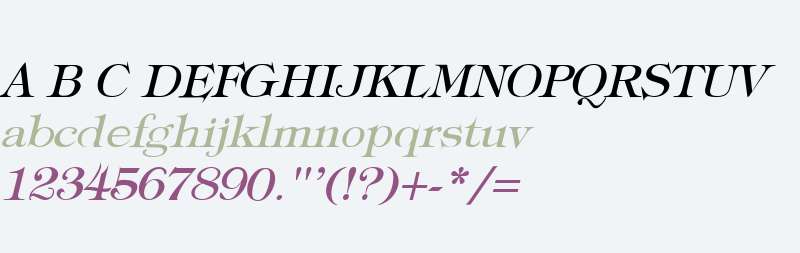 Typography Times Italic