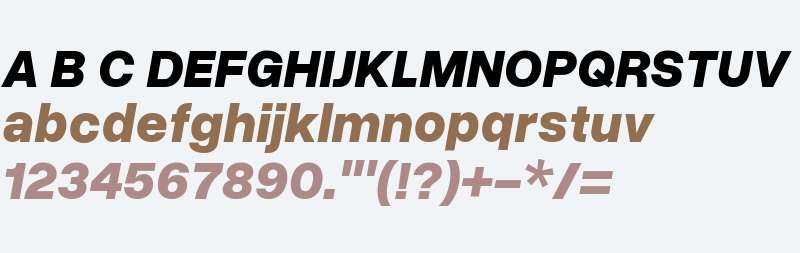 Overused Grotesk ExtraBold