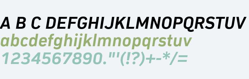 Compasse W01 Bold Italic