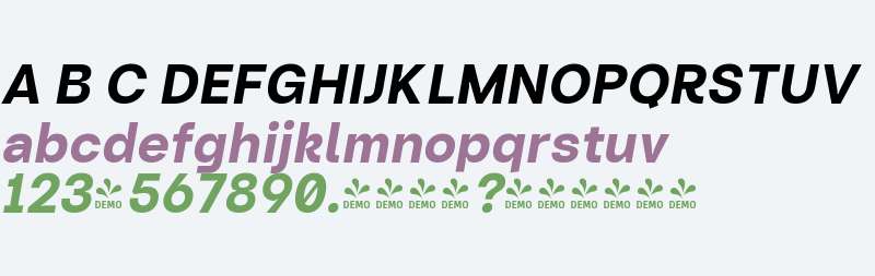 FSP DEMO - Turnkey Bold Italic