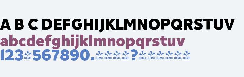 FSP DEMO - Inter Sans Heavy