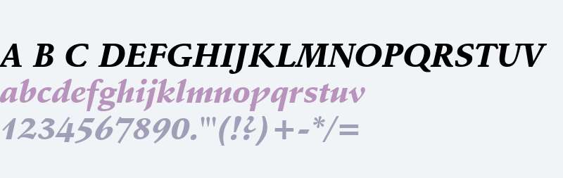 Schneidler Black Italic BT