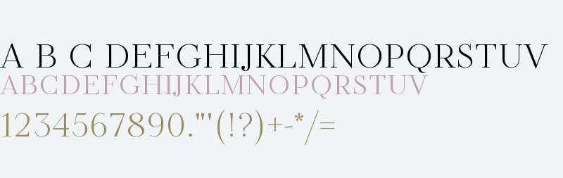 TT Tsars D Trial Light