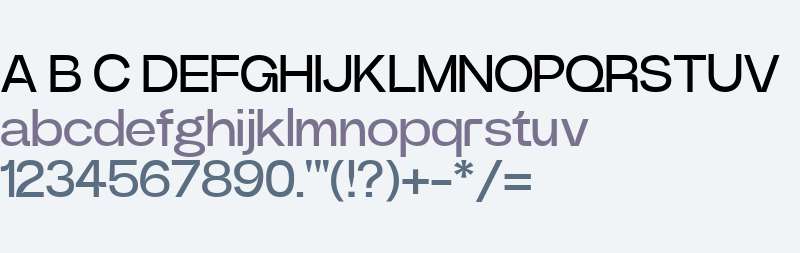 Power Grotesk
