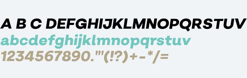 Salvatore ExtraBold Italic