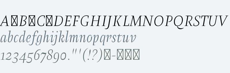 Test_Amster Thin Italic