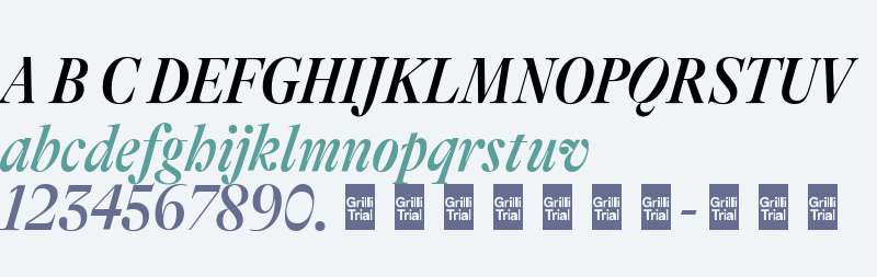 GT Alpina Fine Trial Cond Medium It