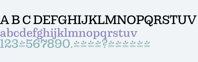 FSP DEMO - Capital Serif Medium