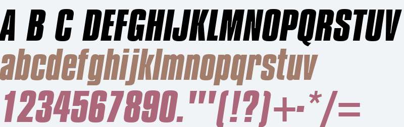 Compacta W01 Bold Italic