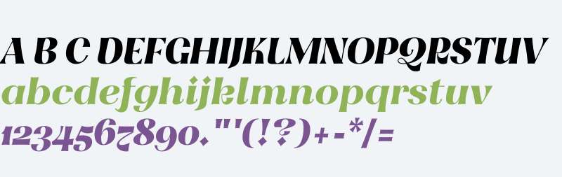 Meeko FY W01 Italic