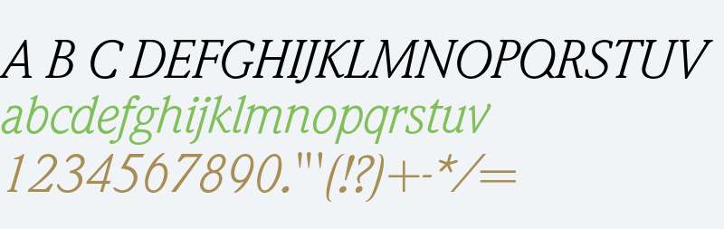 Weidemann* Book Italic