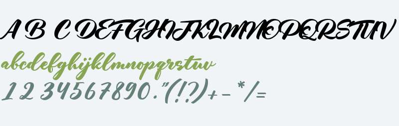 The Diplomat Signature