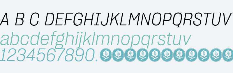 Sharp Grotesk PE Trial Light Itl 17