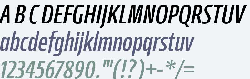 Mellnik W01 Cond Italic