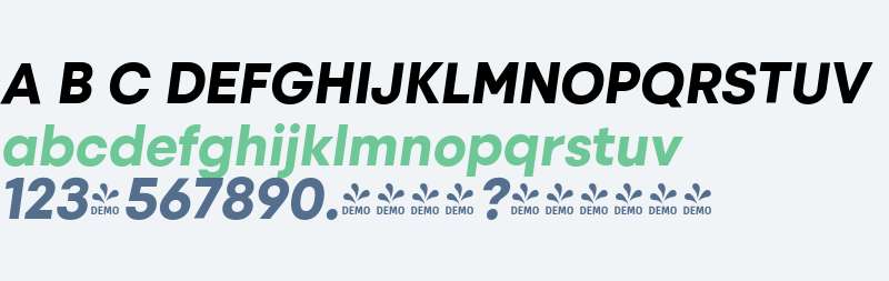 FSP DEMO - zmr-xtrbldtlc