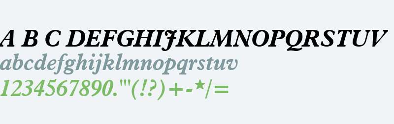 Aldine 721 W01 Bold Italic