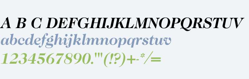 Caslon 224* Bold Italic