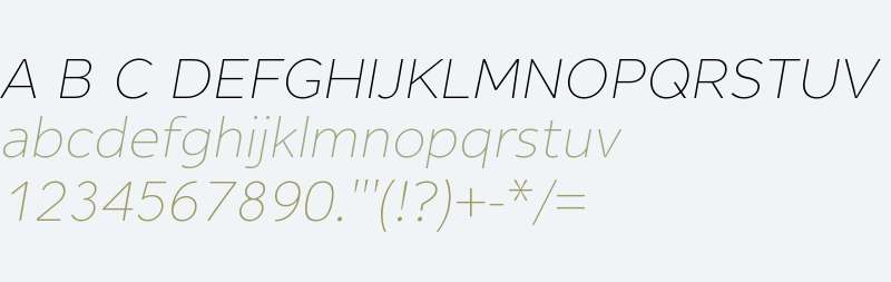 Alleyn W01 Light Italic