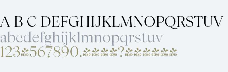 FSP DEMO - Apparel
