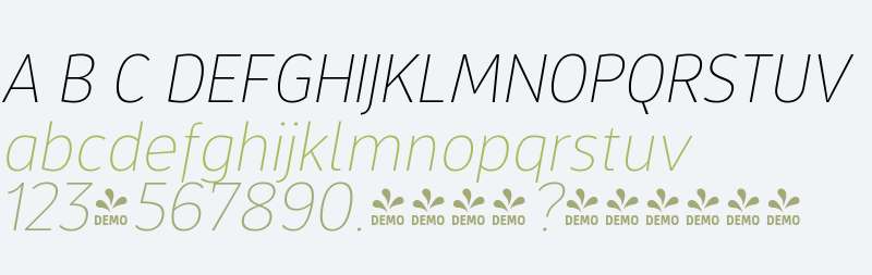 FSP DEMO - xL Thin