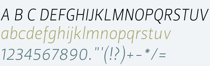 Leitura Sans W01 Italic 1