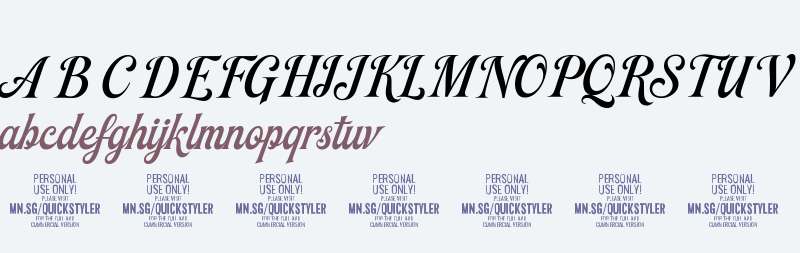 Quickstyler PERSONAL USE ONLY