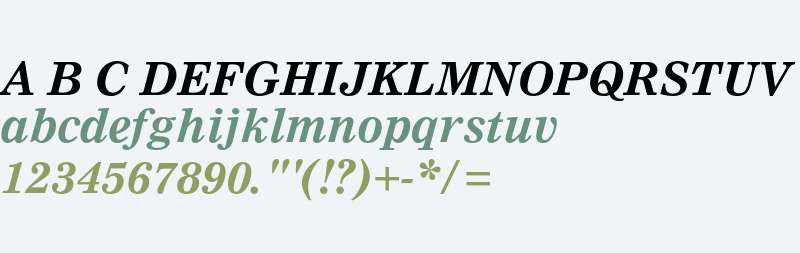 Nimrod MT Bold Italic