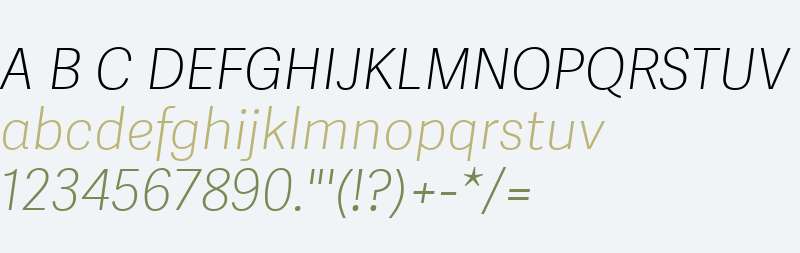 Adelle Sans W04 Thin Italic