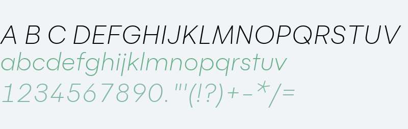 Flink-LightItalic