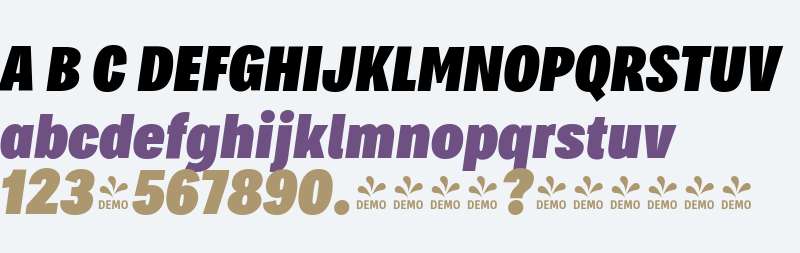 FSP DEMO - BrtGlbCmprssdBlckt