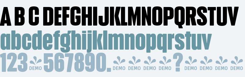 FSP DEMO - Anguita Sans Black